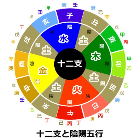 辛五行|四柱推命・辛（かのと）の意味｜性格、相性、十二支別の特徴解